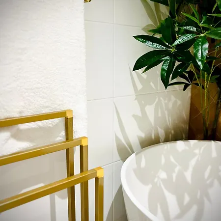 Palais Wieserfeld Apartment Steyr